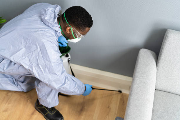 Best Bed Bug Extermination  in Bisbee, AZ